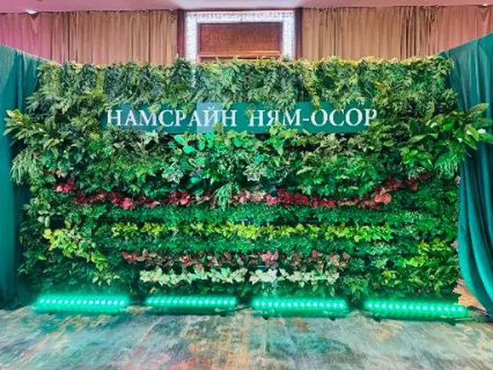 Арга хэмжээнд түрээслүүлсэн амьд ургамлан хана